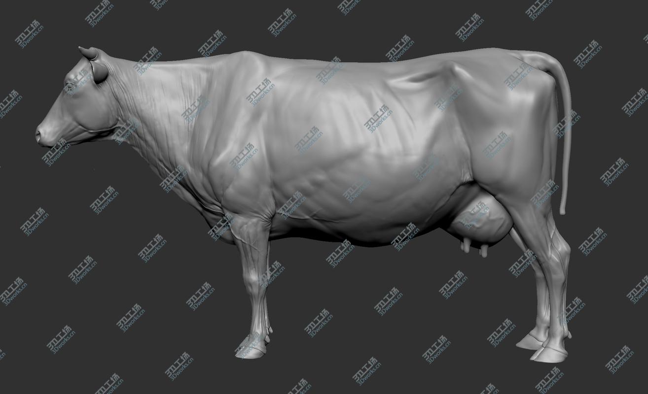 images/goods_img/2021040232/3D Cow Realistic/5.jpg